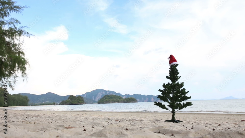 Christmas tree with red hat standing on the shore Christmas tree with red hat standing on the shore