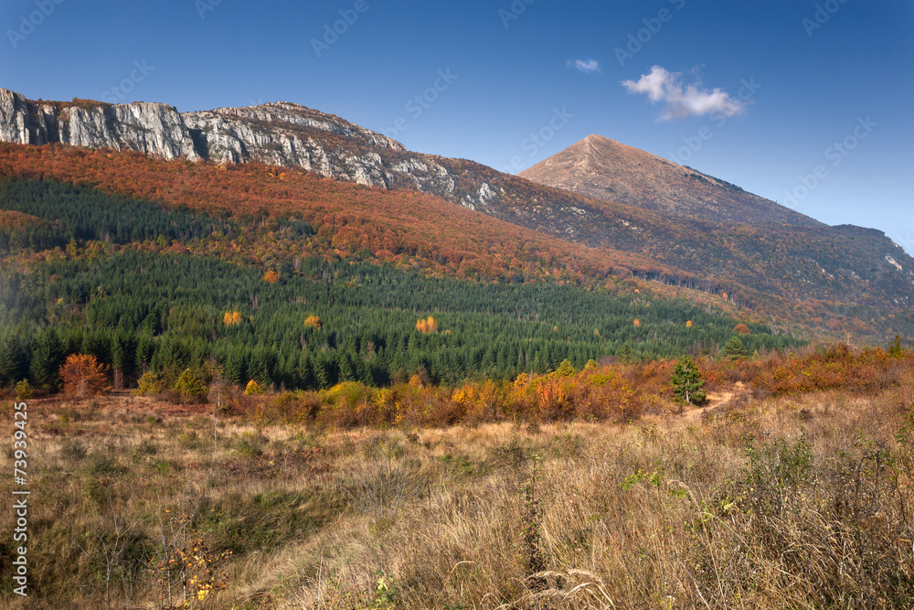 Fototapeta premium Landscape with a view on the mountain peak