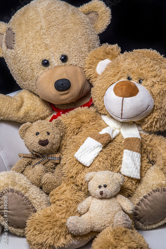 Teddy bear family