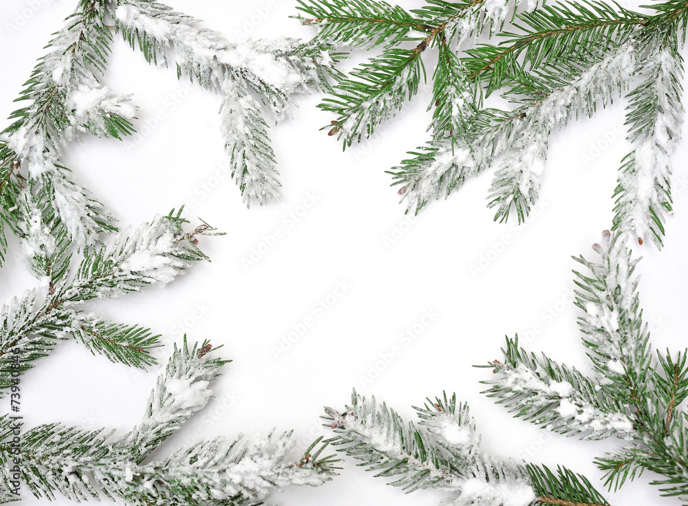 Christmas tree isolate on white background