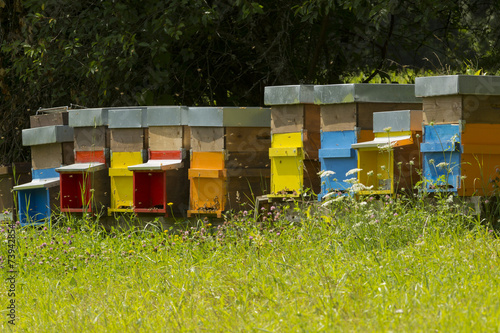 Hives with bees