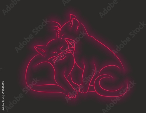 Кошки