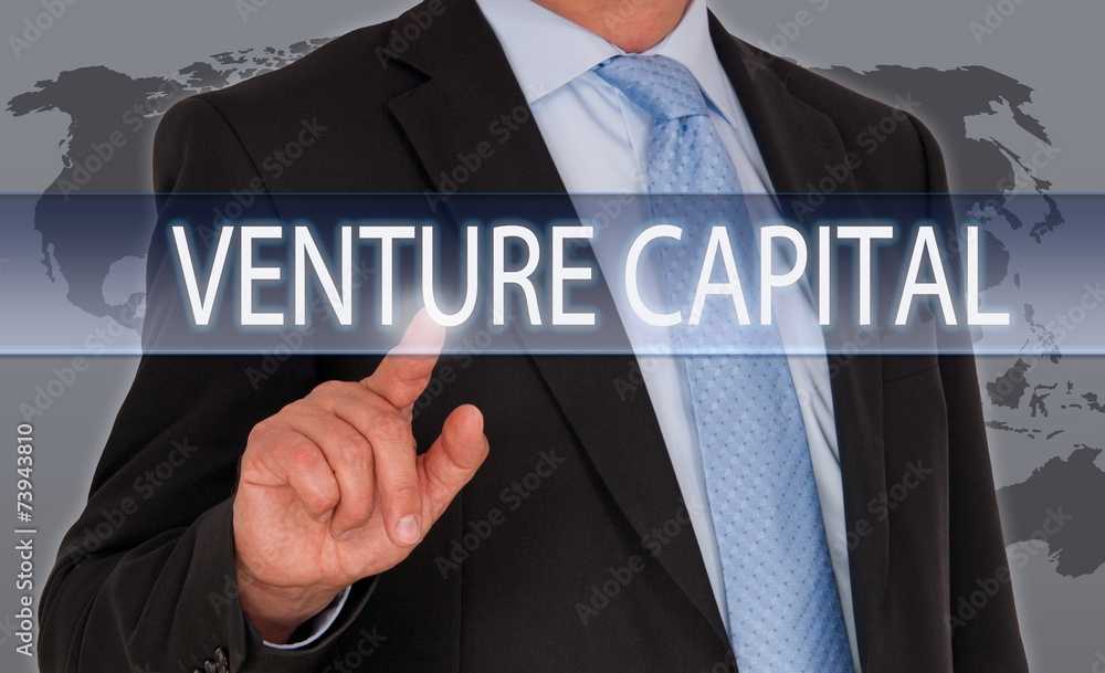 Venture Capital Venture Capital