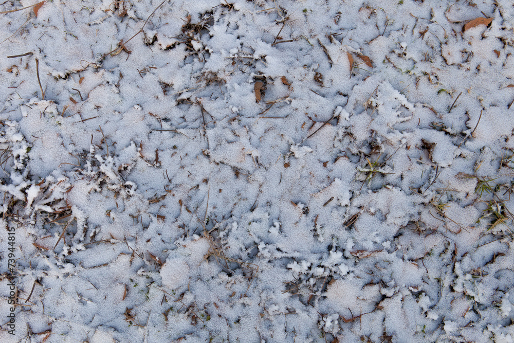 frozen grass frozen grass