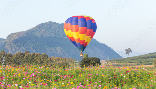 Hot air balloon over flower fields with mountain background