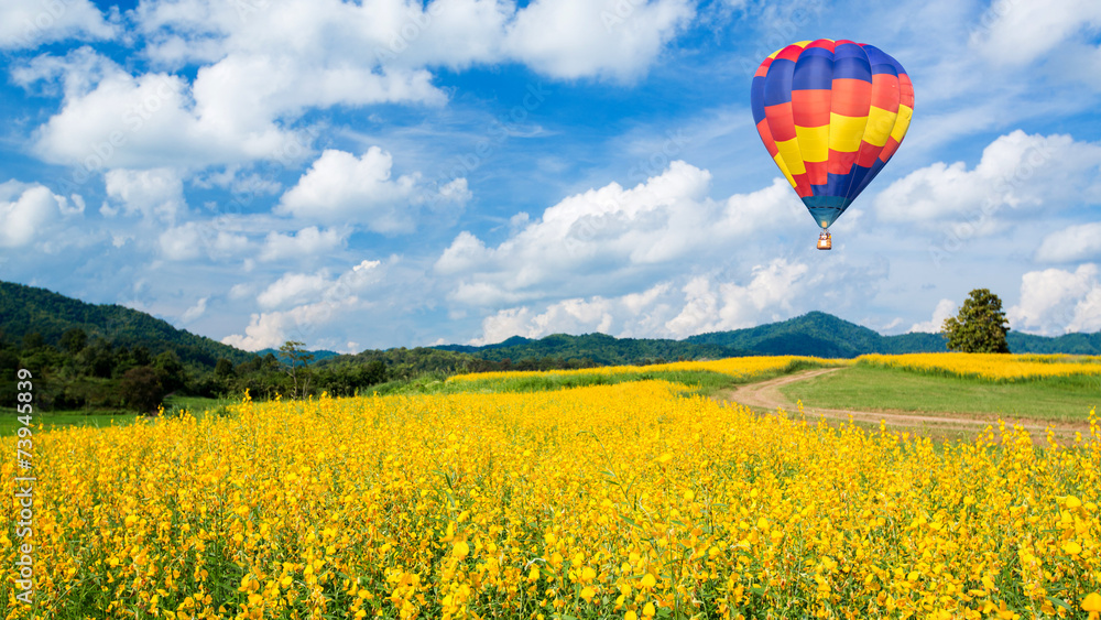Fototapeta premium Hot air balloon over yellow flower fields and blue sky backgroun