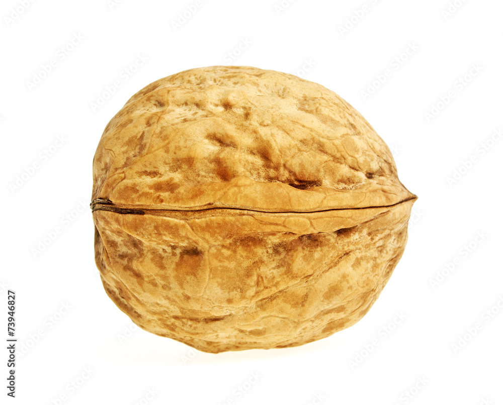 Walnut isolated on white background Walnut isolated on white background