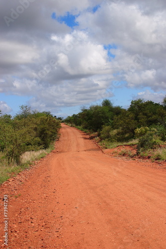 pianure della savana parco nazionale del kruger sudafrica photo