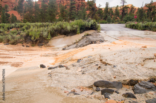 Quadro em tela Summer storm flash floods at Red Canyon Utah