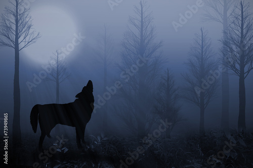 Lone Wolf in a Dark Forest Under the Full Moon © Alaskajade