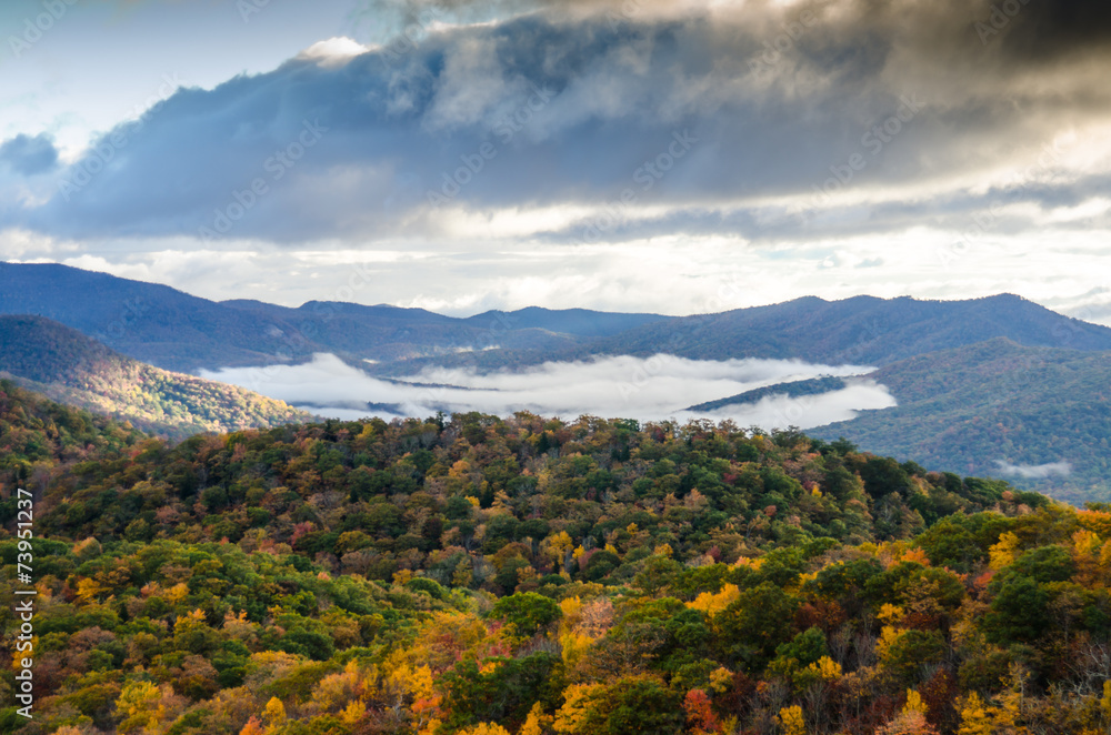 Fog Below Trees in Fall