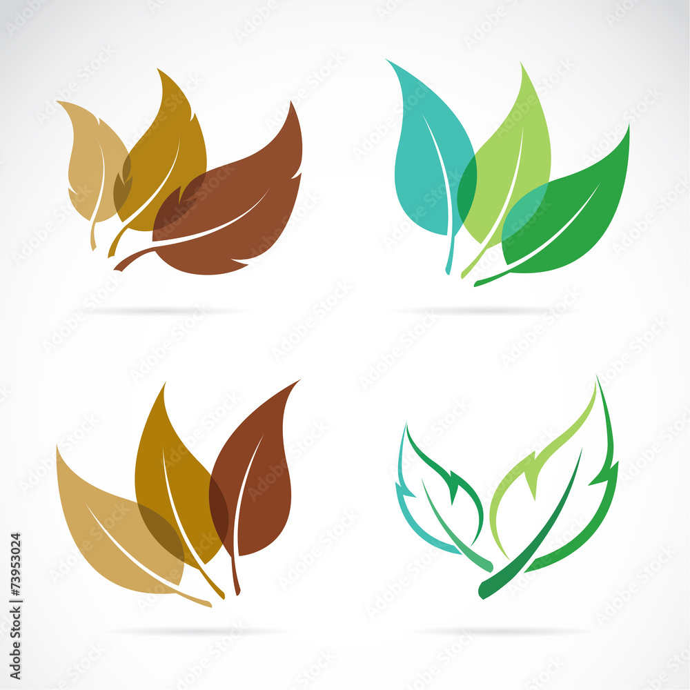 Vector image of leaves design on white background Vector image of leaves design on white background