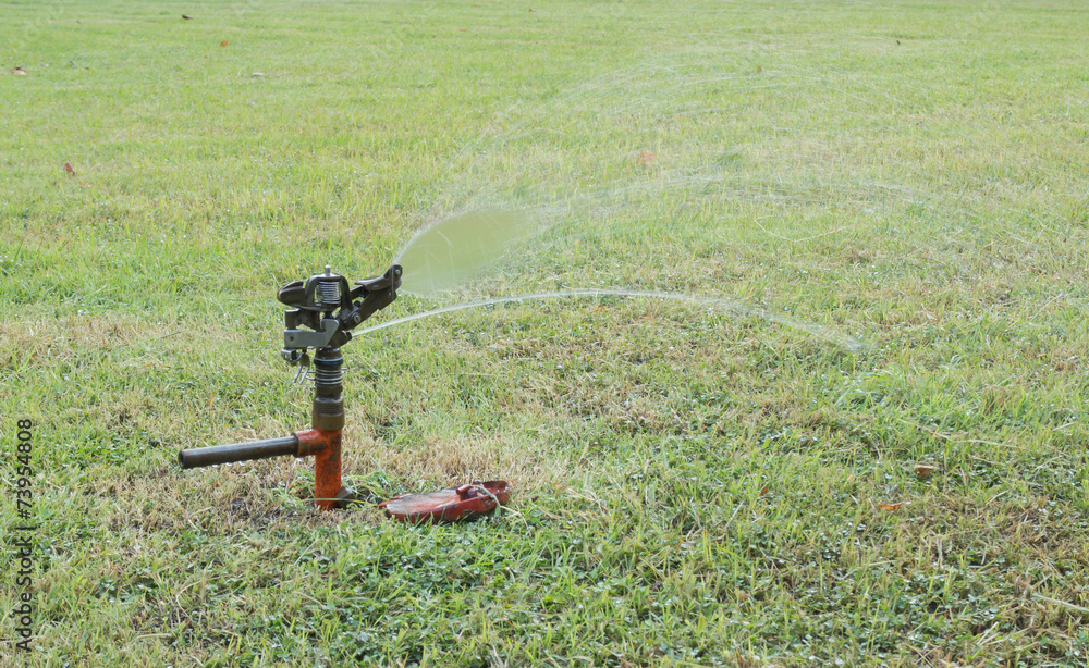 Naklejka premium Sprinkler