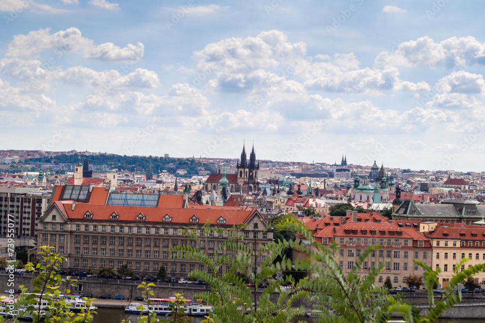 Naklejka premium Bridge and rooftops of Prague