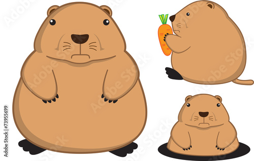 prairie dog