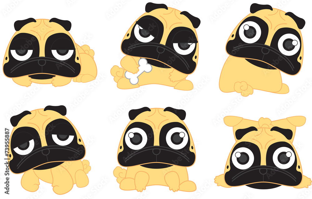 pug pug