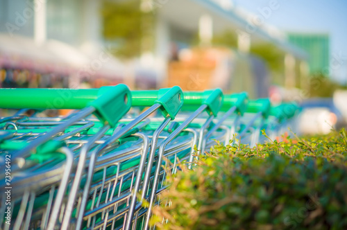 Row of shopping cart with green handles near live natural fence
