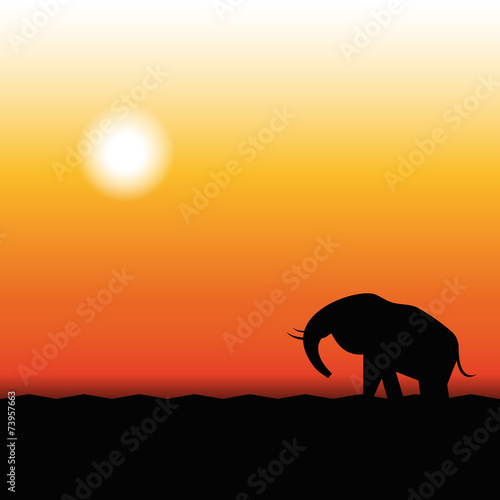 Silhouette of Elephant Standing in the Sunset