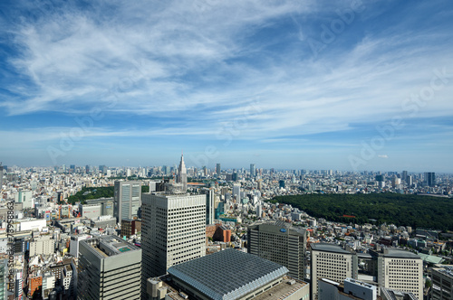 東京都庁展望室からの展望 © fpdress