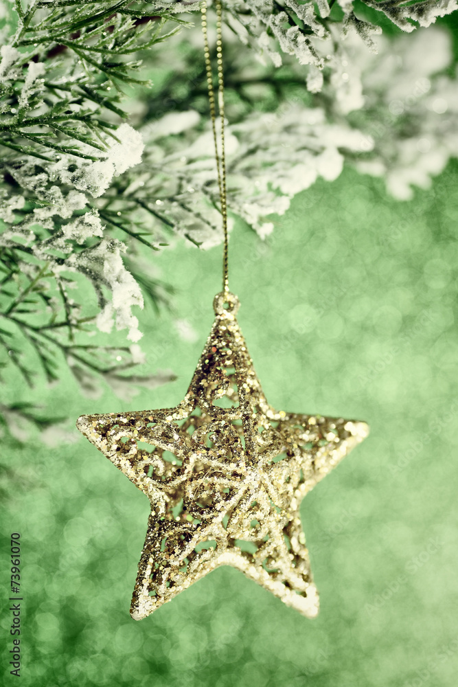 Christmas star. Christmas star.