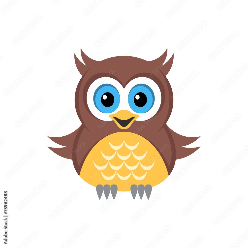 Colorful owl Colorful owl