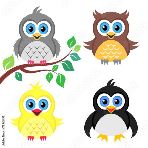 Colorful baby birds