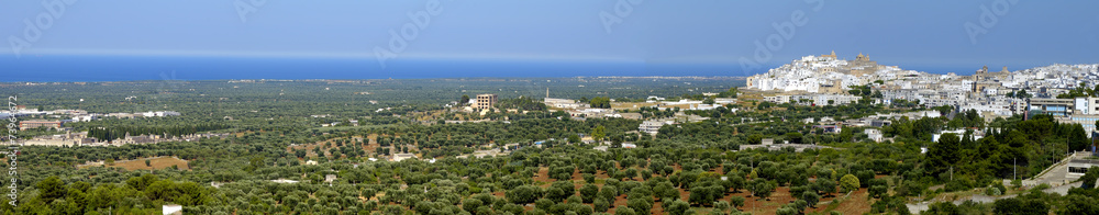 Panoramic view of Ostuni called 