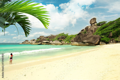 white sand beach island with coconut palm