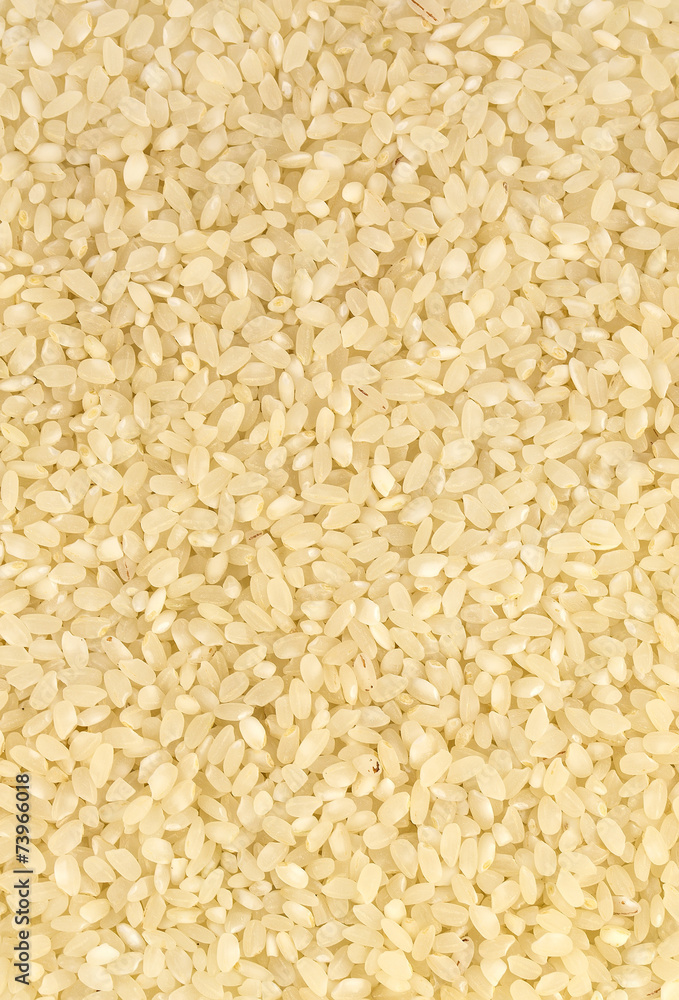background of white polished rice seeds