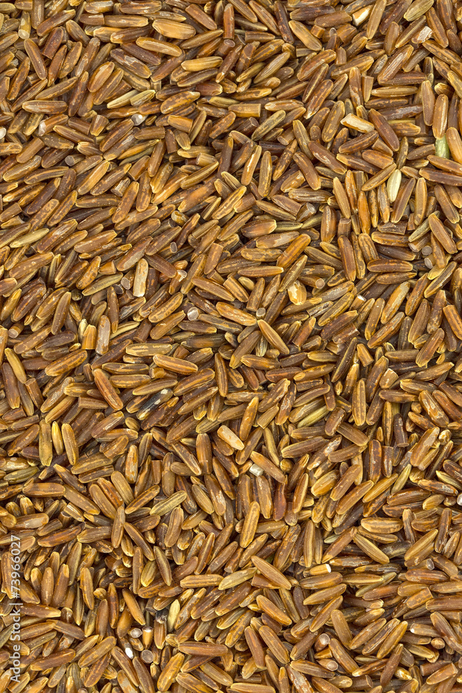background of red unpolished rice seeds