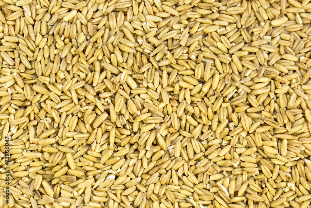 background peeled oat seeds background peeled oat seeds