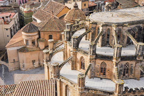 Tortosa Cathedral, Tarragona (Spain) photo