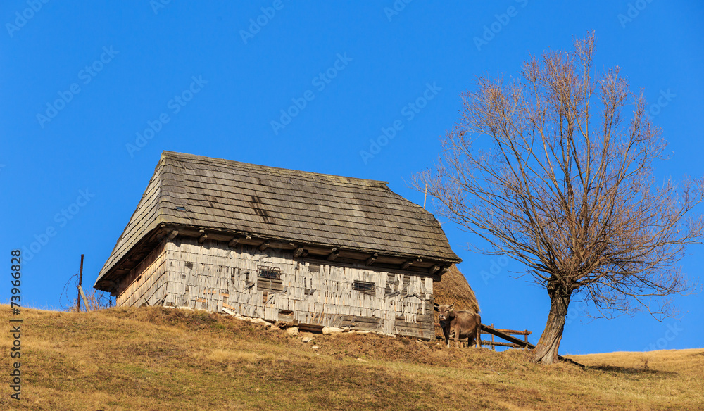 Autumn scenery in rural area in Transylvania Autumn scenery in rural area in Transylvania