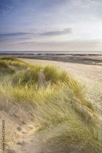 Fototapeta Naklejka Na Ścianę i Meble -  Summer evening landscape view over grassy sand dunes on beach
