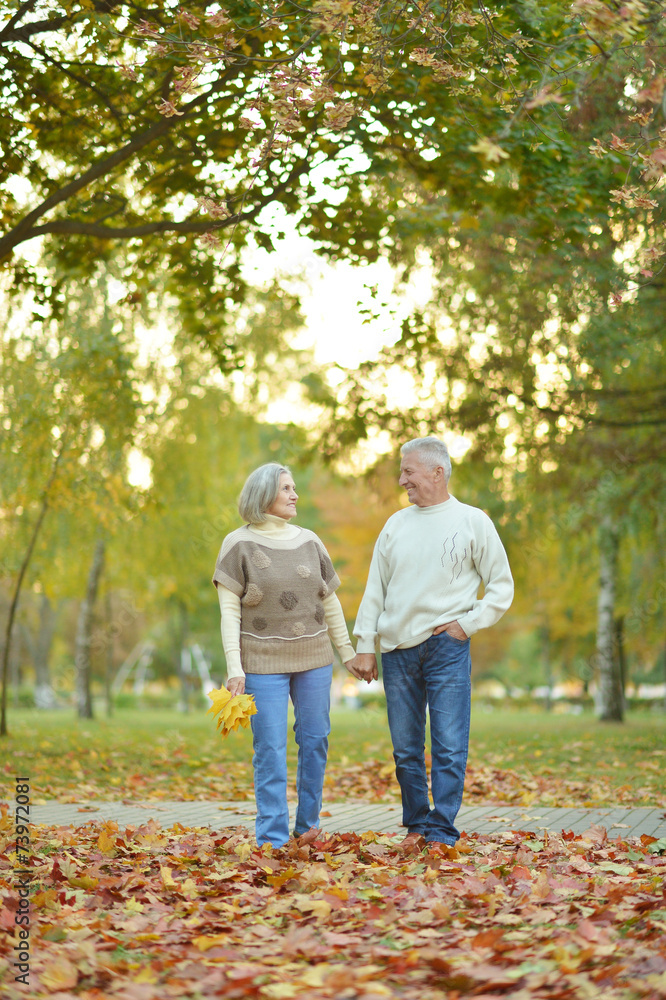 Couple in autumn park Couple in autumn park