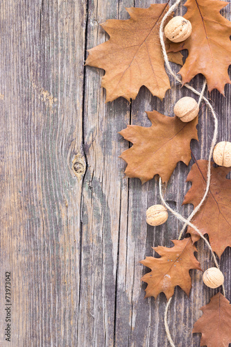 Fotografie Colorful fall autumn leaves on wood background