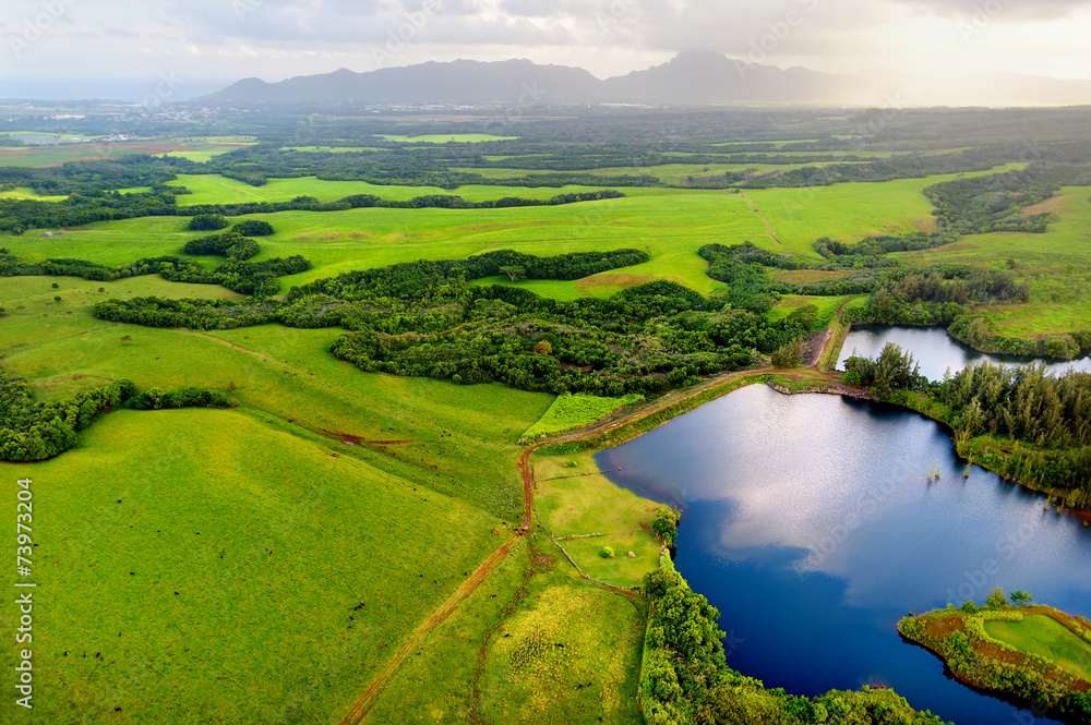 Aerial view of green fields on Kauai, Hawaii