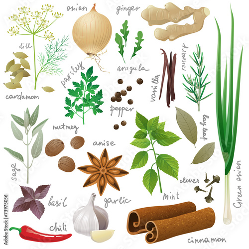 herbs and spices