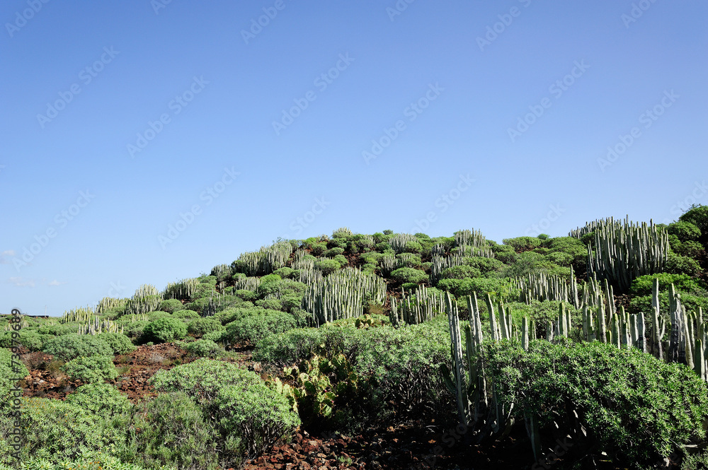 Nationalpark Malpais de Rasca