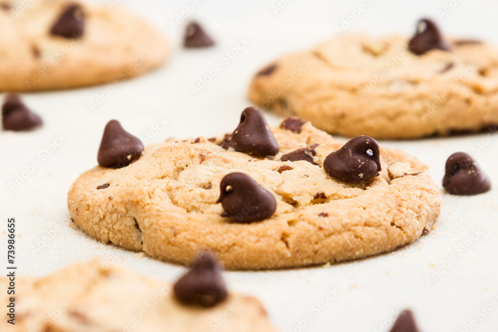 fresh backed chocolate chip cookies fresh backed chocolate chip cookies