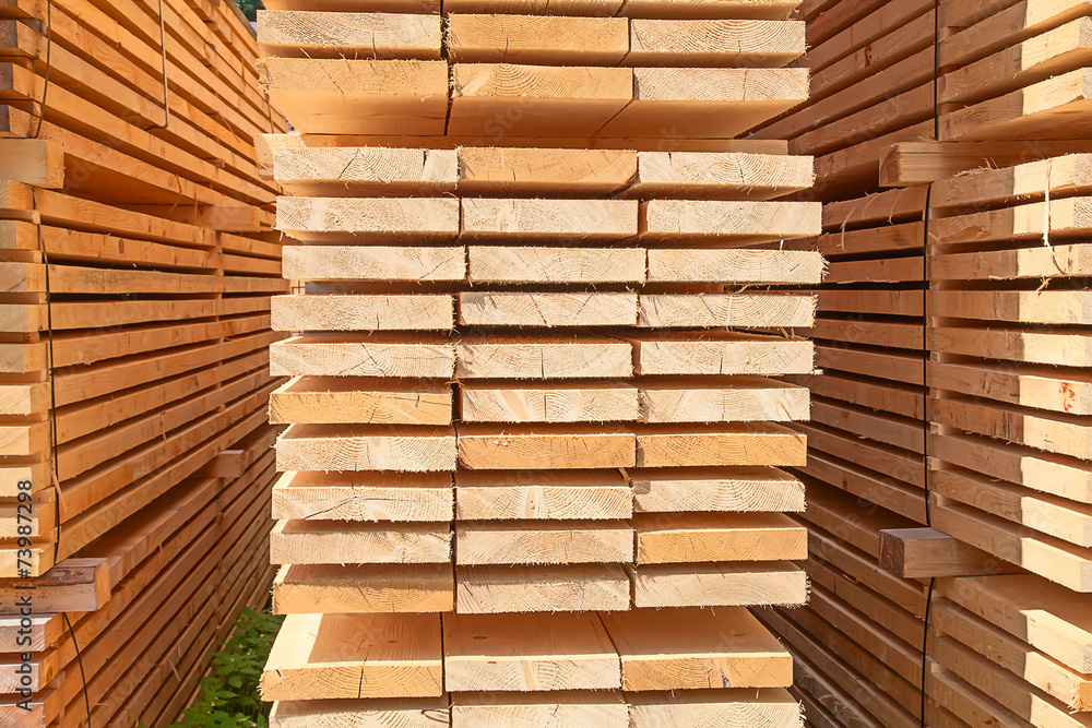 Fresh wooden studs Fresh wooden studs