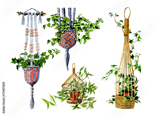 Basket mounting. Botany