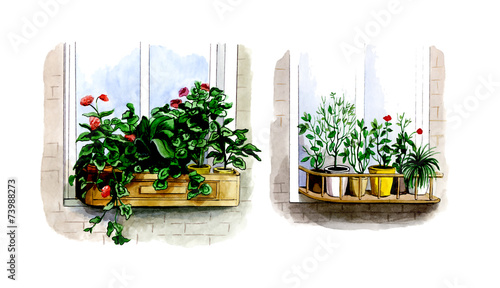 Location of indoor plants outside the window in the summer.