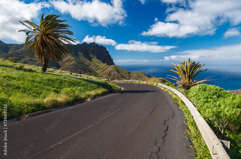 Scenic road on coast of tropical La Gomera island, Spain