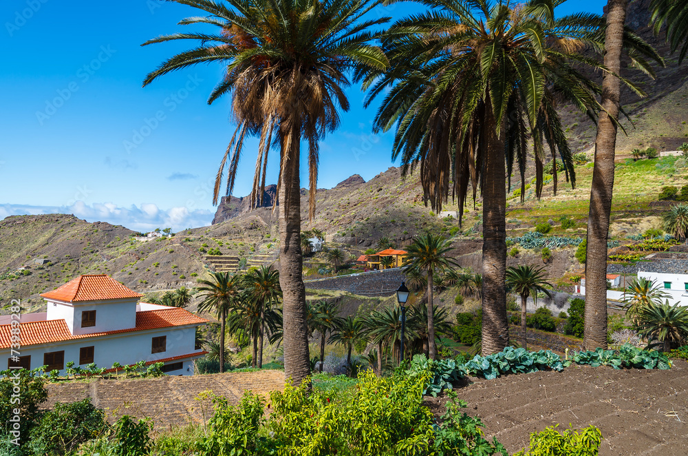 Tropical mountain landscape of La Gomera island, Spain
