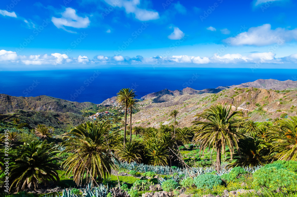 Palm trees in tropical mountain landscape of La Gomera island