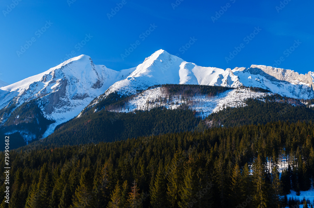 Winter landscape panorama, Zdiar village, Tatry Mountains