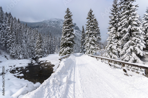 Winter trail in Koscieliska valley, Tatry Mountains, Poland © pkazmierczak