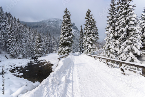 Winter trail in Koscieliska valley, Tatry Mountains, Poland