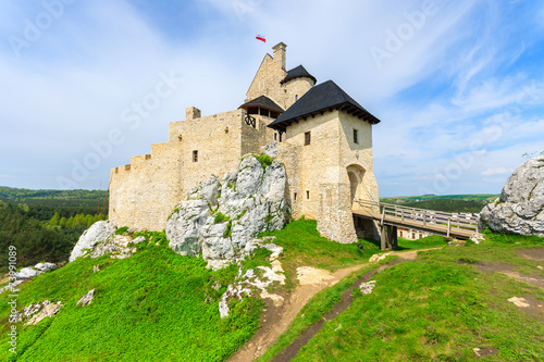 Bobolice medieval castle on sunny day near Krakow, Poland photo